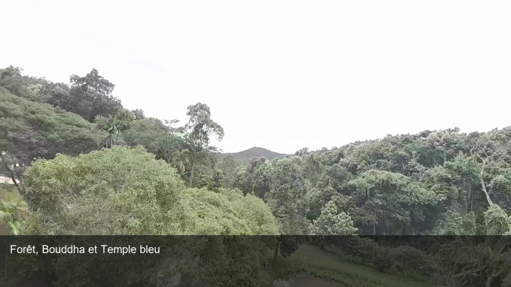 Thaïlande — Forêt, Bouddha et Temple bleu | Film HD + 4 photos