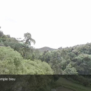 Thaïlande — Forêt, Bouddha et Temple bleu | Film HD + 4 photos