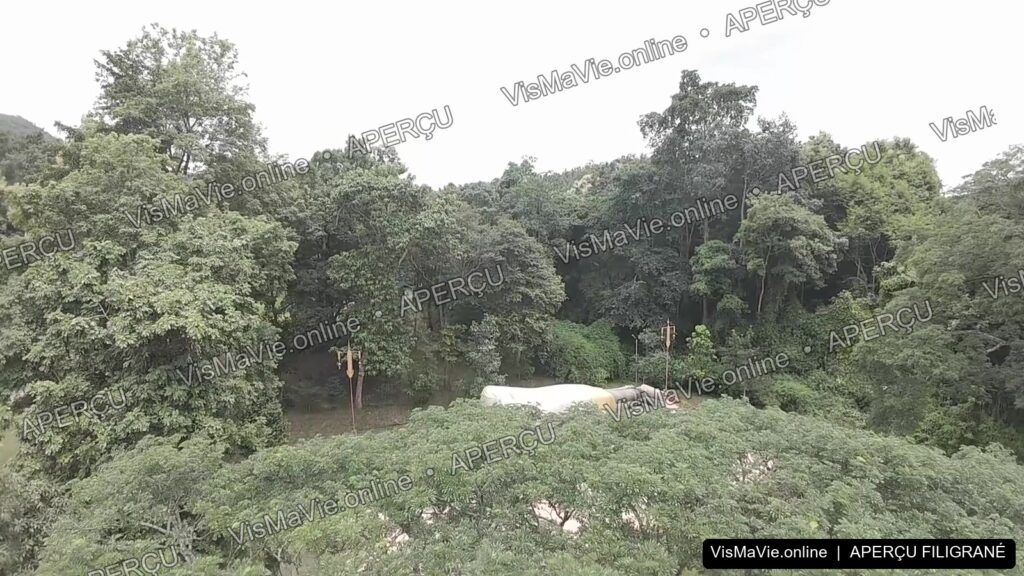 Thaïlande — Bouddha couché au cœur de la forêt | Film HD + 5 photos