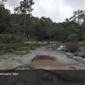 Thaïlande — Rivière, forêt et sanctuaire | Film HD + 4 photos