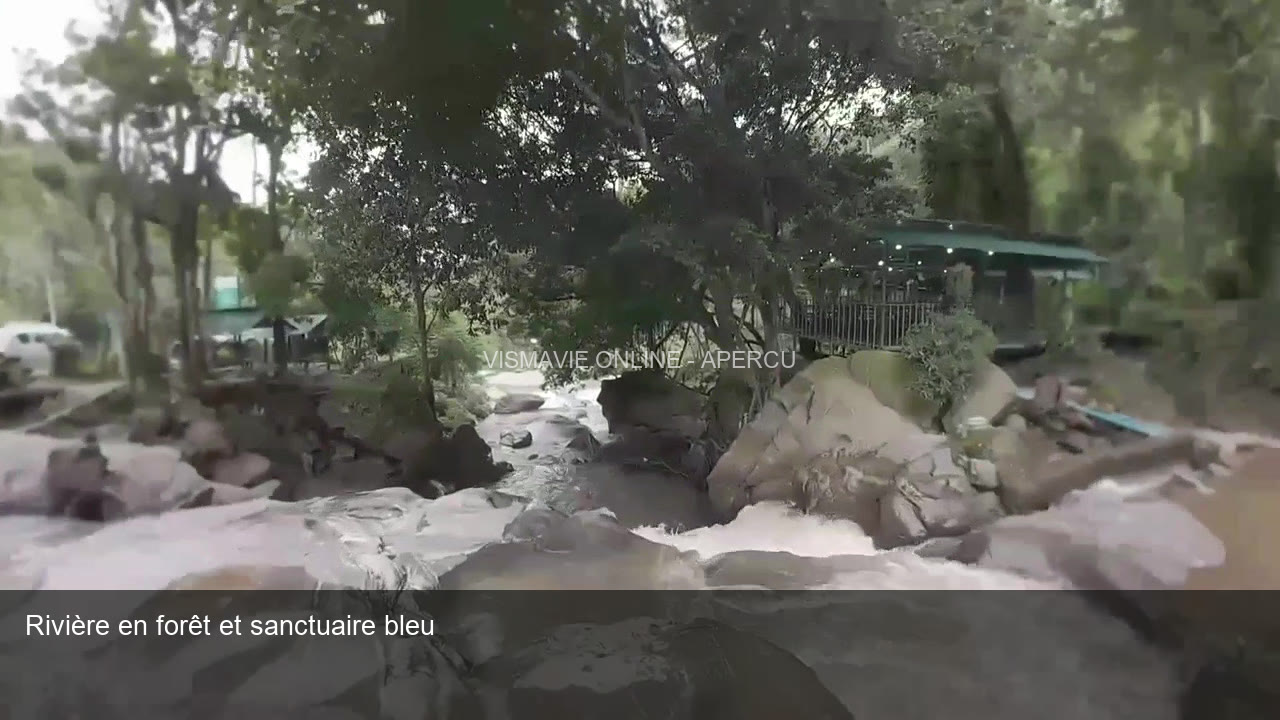 Thaïlande — Rivière, forêt et sanctuaire | Film HD + 4 photos – Image 3