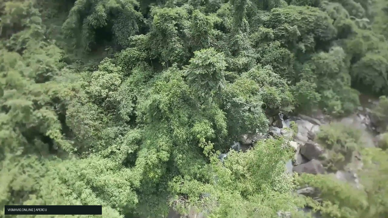 Vietnam — Cascades et falaises | Film HD + 5 photos – Image 4