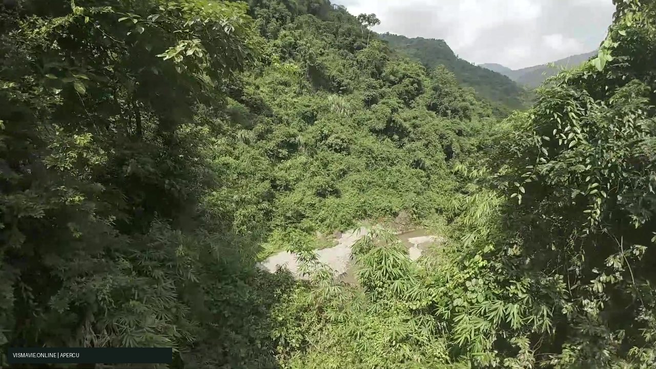Vietnam — Jungle et bassins | Film HD + 5 photos – Image 4