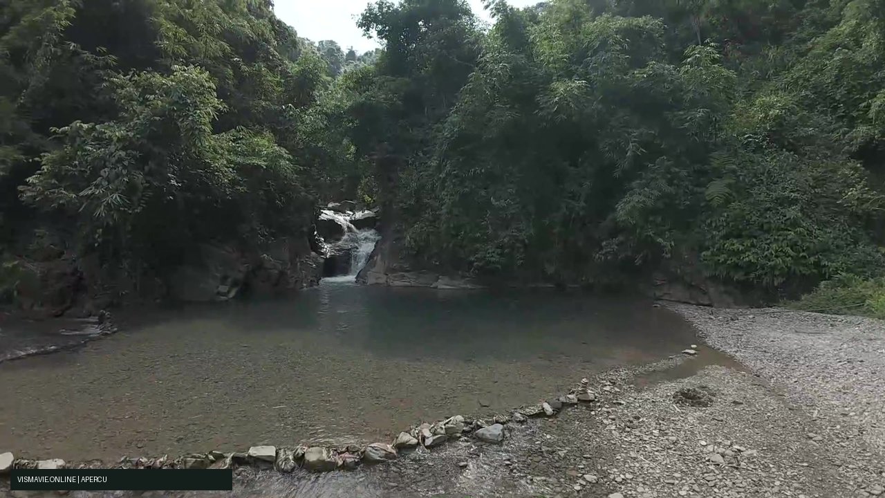 Vietnam — Jungle et bassins | Film HD + 5 photos – Image 5