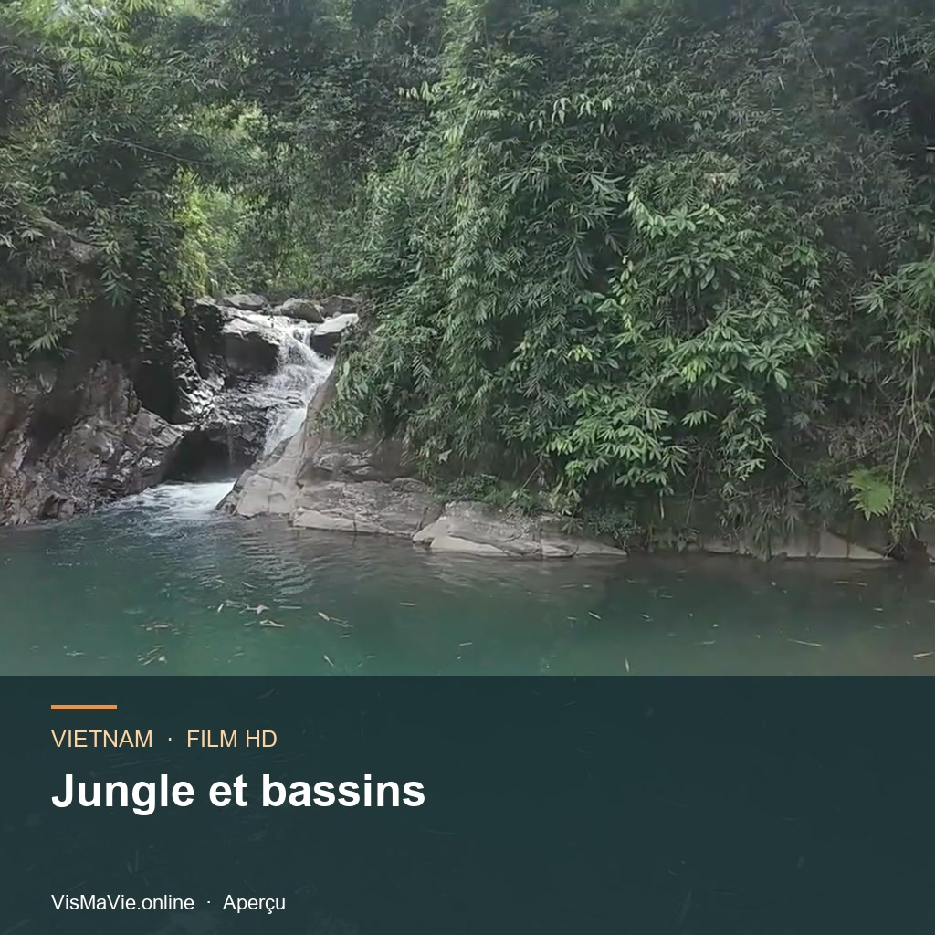 Vietnam — Jungle et bassins | Film HD + 5 photos