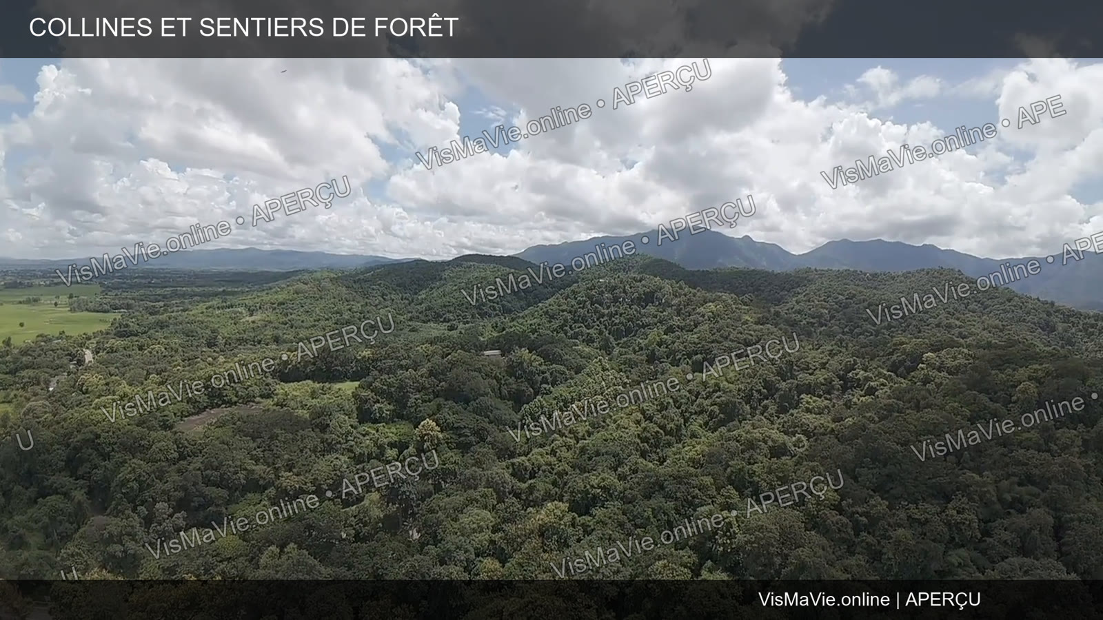 Thaïlande — Collines et sentiers de forêt | Film HD + 5 photos – Image 2