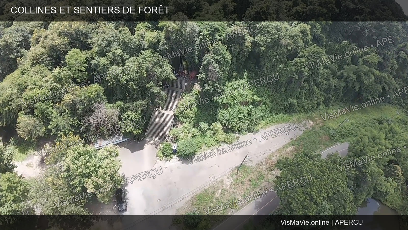 Thaïlande — Collines et sentiers de forêt | Film HD + 5 photos – Image 3