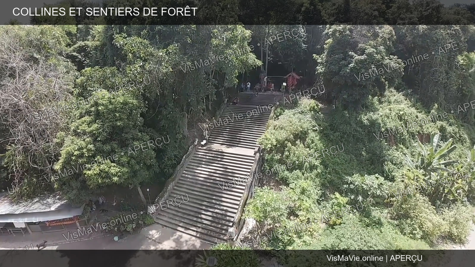 Thaïlande — Collines et sentiers de forêt | Film HD + 5 photos – Image 4