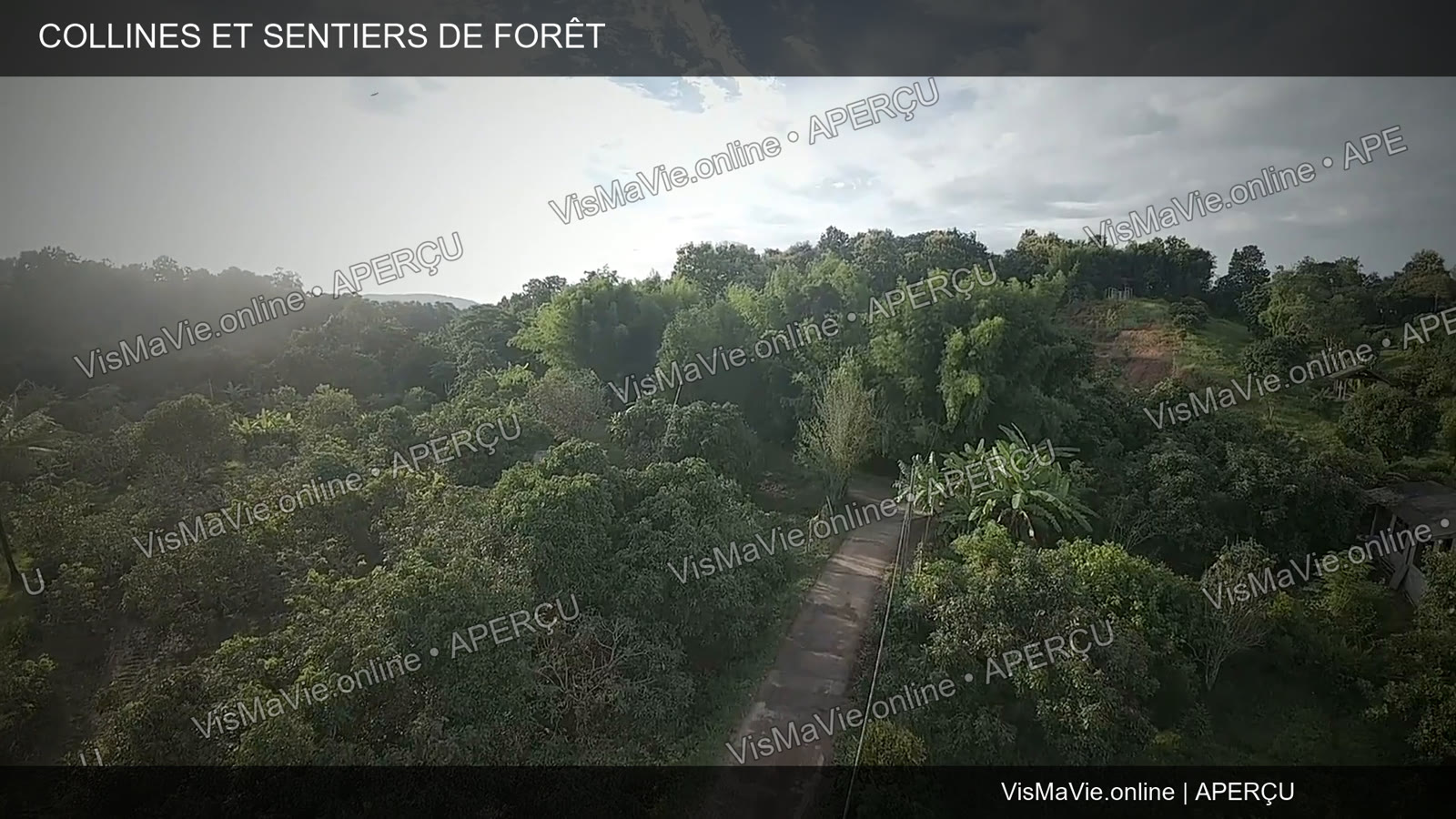 Thaïlande — Collines et sentiers de forêt | Film HD + 5 photos – Image 5
