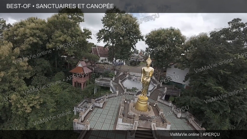 Best-of Thaïlande — Sanctuaires et canopée | Film HD + 5 photos