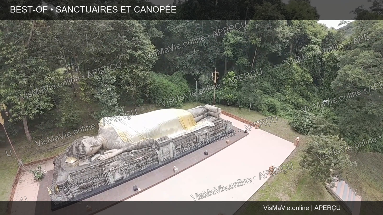 Best-of Thaïlande — Sanctuaires et canopée | Film HD + 5 photos – Image 3