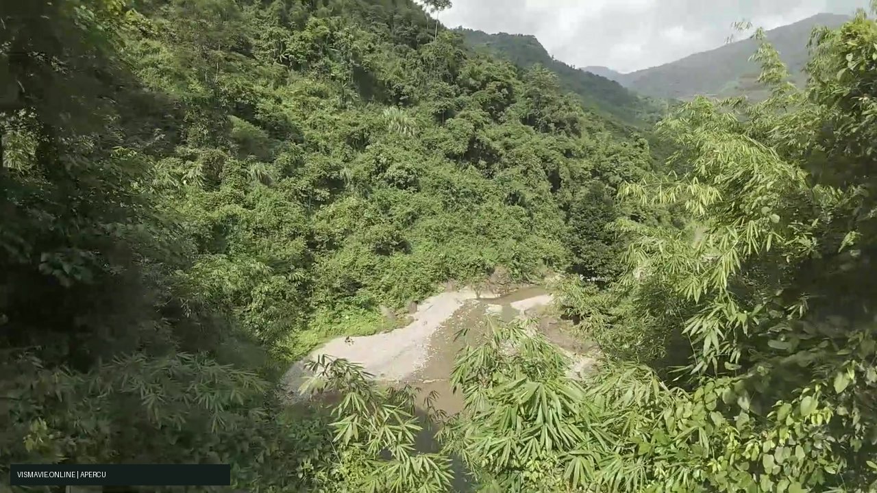 Best-of Vietnam — Eau et jungle | Film HD + 5 photos – Image 3