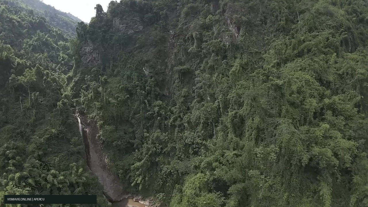 Best-of Vietnam — Eau et jungle | Film HD + 5 photos – Image 4