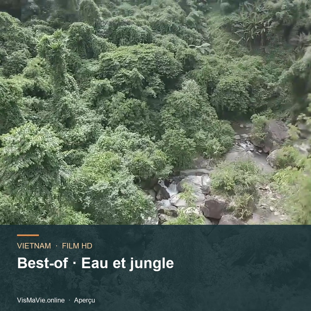 Best-of Vietnam — Eau et jungle | Film HD + 5 photos