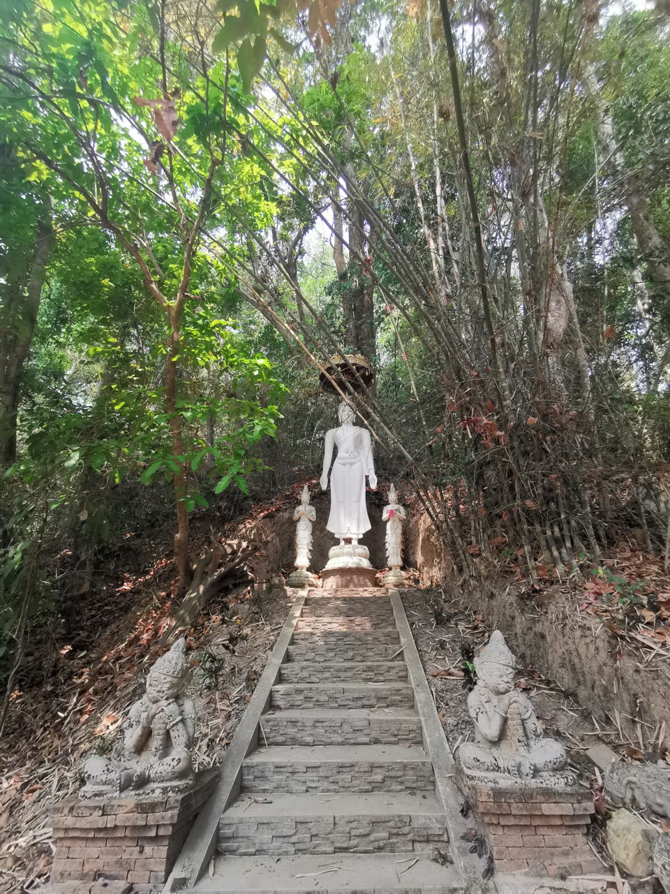 Sanctuaire entouré de végétation tropicale en Thaïlande